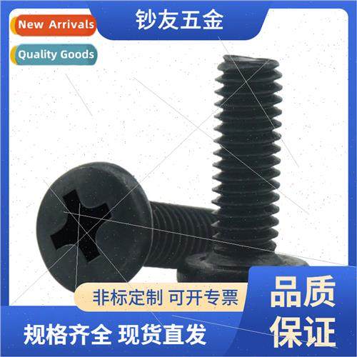Black pan head Phillips machine screws BM large round head P
