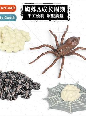 Animal model spider rooster praying mantis grasshopper bee b