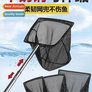 fish fishing net goldfish aquarium ornamental Aquarium