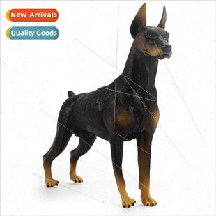 Black Doberman Pinscher Atsumi Pinscher Animal Model Childre