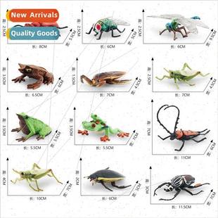 Grasshopper Turtle Fly Field Tick Wild Dragon Golden