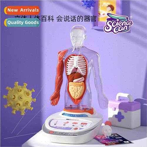 Canned Human Body Detachable Anatomical Our Body Language En