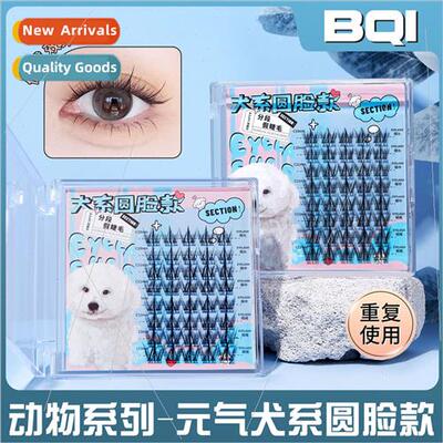 Canine round face segmented false eyelashes natural simulati