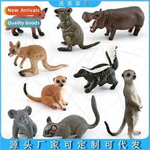 Forest wildlife e bear cara red meerkat kangaroo skunk possu