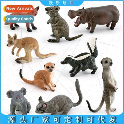 Forest wildlife e bear cara red meerkat kangaroo skunk possu