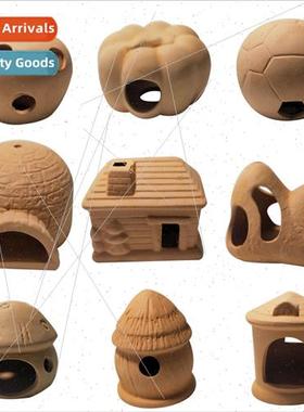 Small fish hiding shrimp house shrimp nest snapper alien cra