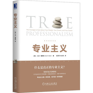 正版 专业主义 (美)大卫·梅斯特 机械工业出版社 9787111631613 Y库