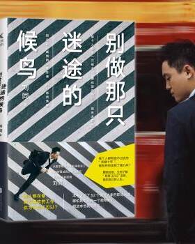 正版 别做那只迷途的候鸟 刘同 北京联合出版有限公司 9787559626530 R库
