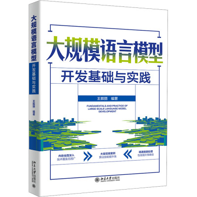正版 大规模语言模型开发基础与实践 王振丽 编 北京大学出版社 9787301352595 Y库