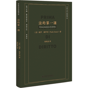 正版 法的课 (意)保罗·格罗西 北京大学出版社 9787301348147 Y库