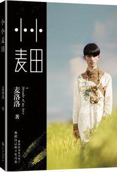 正版 小小麦田 麦洛洛著 九州出版社 9787510832208 R库