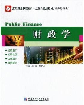 正版 财政学 何嵬，賉兄鞅?zeng 哈尔滨工业大学出版社 9787560336855 R库