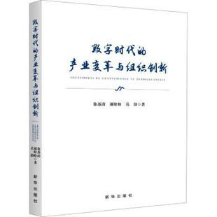 正版 数字时代的产业变革与组织创新 徐苏涛,谢盼盼,岳渤 新华出版社 9787516673638 R库
