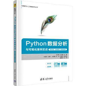正版 Python数据分析与可视化案例实战:项目实战·源码解读·微课视频版 吕云翔，王志鹏主编 清华大学出版社 9787302627685 R库