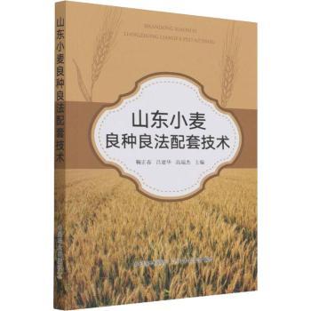 正版 山东小麦良种良法配套技术 鞠正春,吕建华,高瑞杰 中国农业出版社 9787109281813 R库