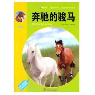 袁毅 骏马 武汉大学出版 社 R库 正版 9787307097001 奔驰