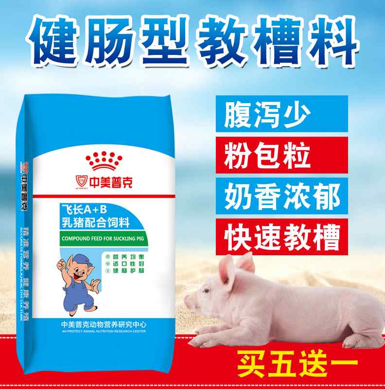 教槽料乳小仔猪教槽料盆仔小猪开口饲料小乳仔猪断奶颗粒饲料猪仔-封面