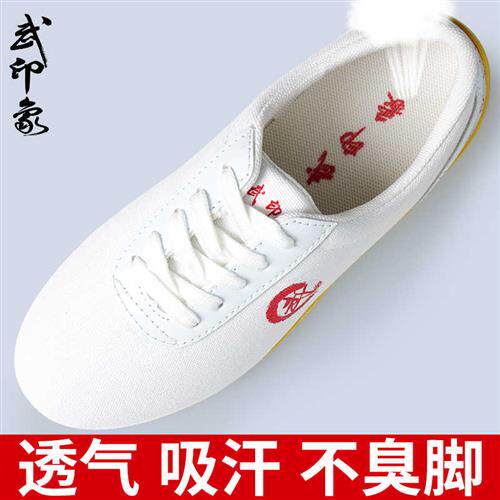武术儿童鞋女春秋太极鞋女帆布牛筋底训练鞋太极拳鞋男武术专用鞋