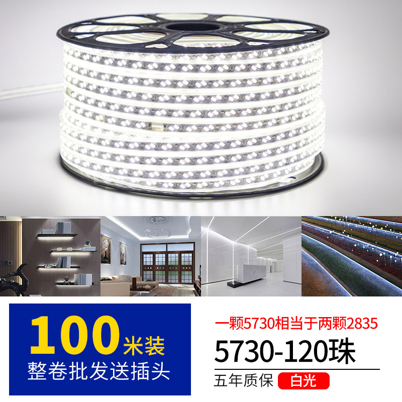 led灯带100米220V户外工程照明户外防水养殖塔吊工地地下室24白光