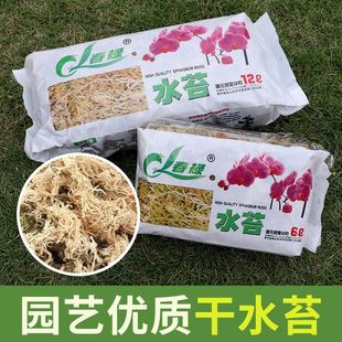 水苔蝴蝶兰专用兰花营养土文心兰石斛进口优质干苔藓乌龟爬宠垫材