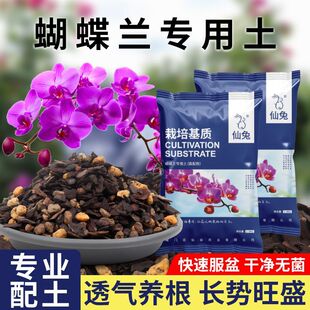 仙兔蝴蝶兰专用土兰花植料养根透气兰科土盆栽种植土松树皮颗粒土