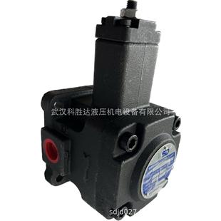 F30D 液压油泵VPE 9T花键油泵VPE 9T平键 F40D