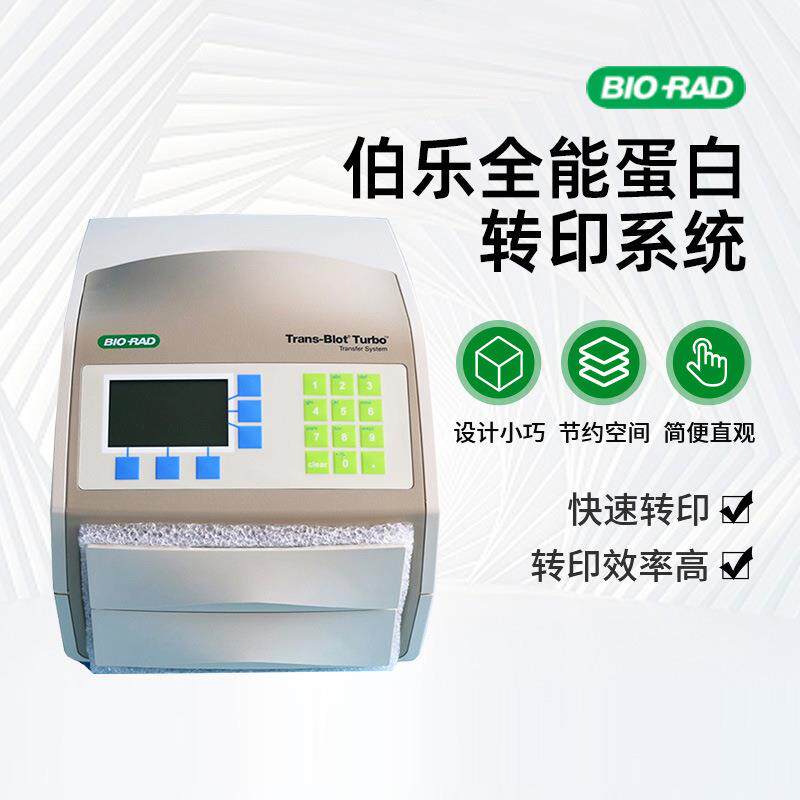 厂家美国bio-rad快速伯乐蛋白全能转印turbo系统trans-biot转膜仪