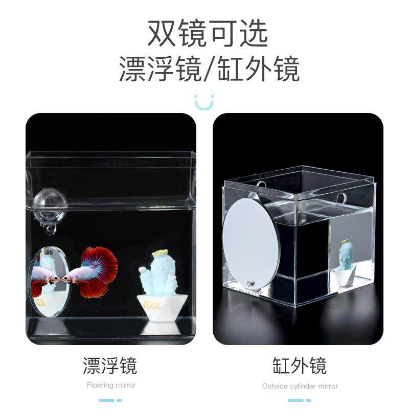 QGSO泰国斗鱼训练镜子悬浮球缸外镜罗汉鱼雷龙鱼造景小型鱼缸