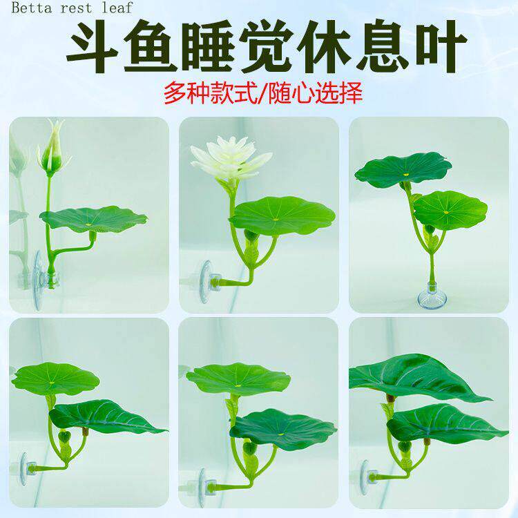 鱼缸造景布置摆件水族泰