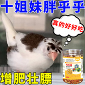 十姐妹专用鸟粮饲料保姆鸟小型鸟幼鸟营养高钙高蛋白增肥增强体质