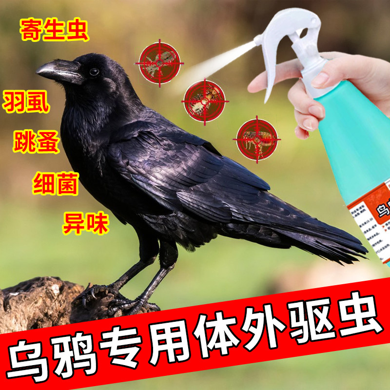 乌鸦体外驱虫喷雾剂祛除羽虱螨虫虱子跳蚤寄生虫不伤羽毛乌鸦用品