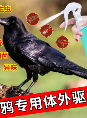 乌鸦体外驱虫喷雾剂祛除羽虱螨虫虱子跳蚤寄生虫不伤羽毛乌鸦用品