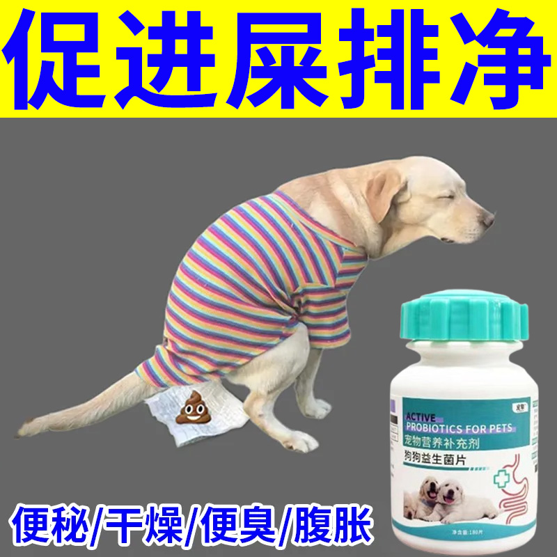 促进狗狗肠道蠕动加速排便的益生菌调理便秘好吸收润肠通便补营养