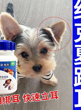 约克夏犬立耳专用补钙健骨宝