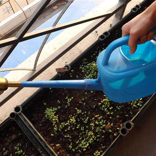 园艺喷壶浇花  种菜工具 塑料洒水壶 浇水壶浇花壶 3L大容量 包邮