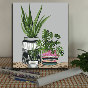 diy数字油画清新绿植 芭蕉树叶 儿童手绘填色丙烯装饰画 多肉系列