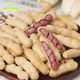 朝气森林龙岩湿烤花生连城红衣湿烤花生水煮白晒四粒红香脆五香味