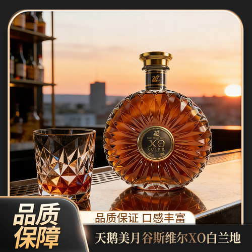 法国进口洋酒XO白兰地烈酒 夜店调酒700ml基酒送礼 酒水聚会