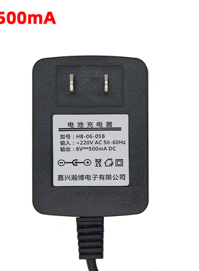 通用儿童电动童车熊猫车电池充电器6V500mA六伏圆孔电源适配器