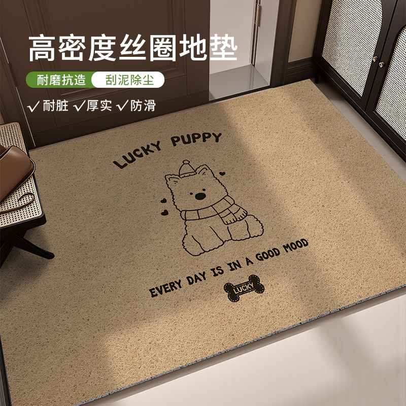 高级入户门地垫丝圈耐脏