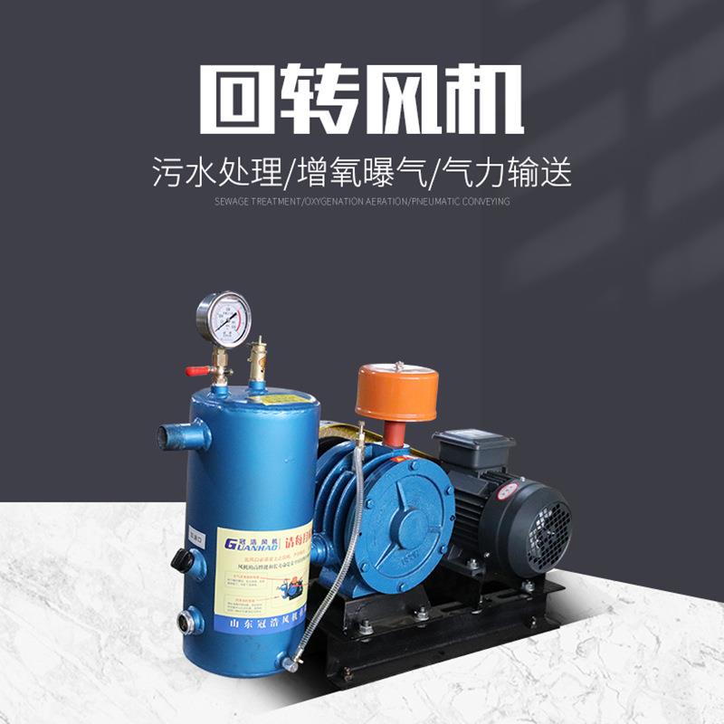厂家直供回转风机 回转鼓风机 污水处理风机设备低噪音小型鼓风机