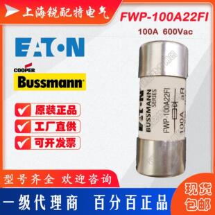 FWP-100A22FI 陶瓷管保险丝 600V 100A 22x58 巴斯曼BUSSMANN熔断