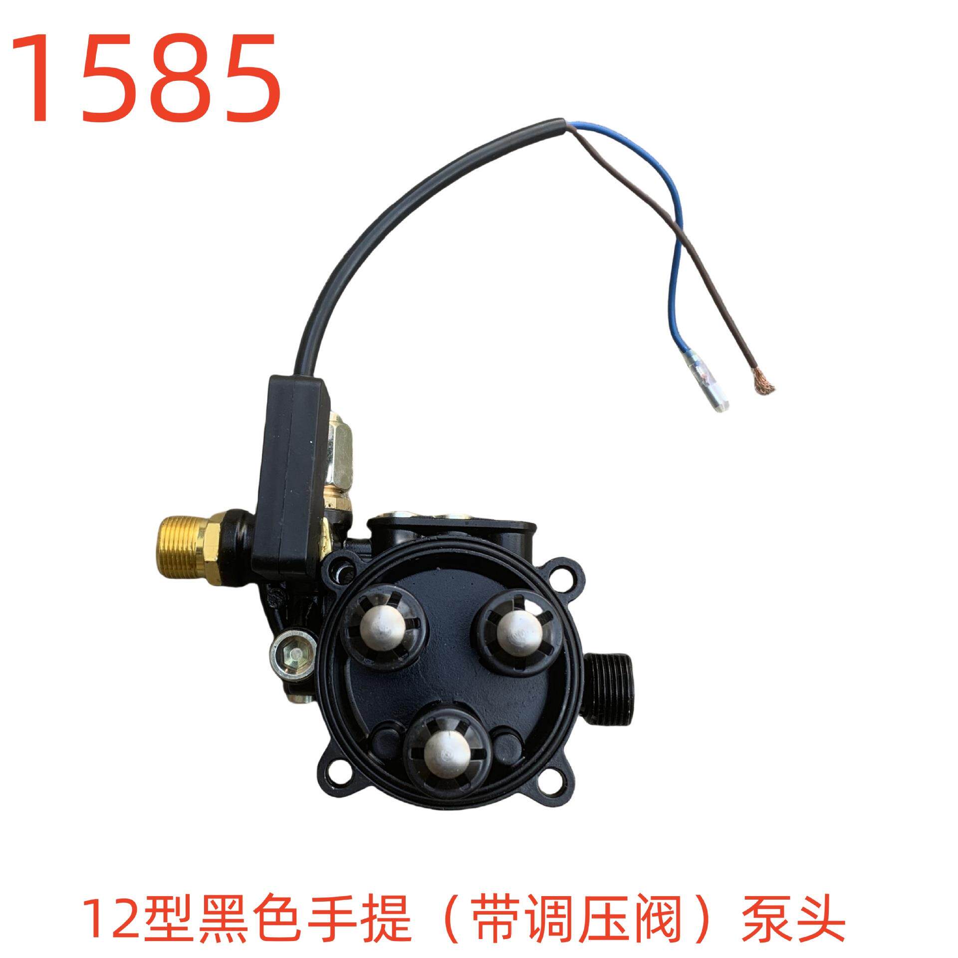 洗特12型黑色手提式清洗机泵头带调压阀 1585号