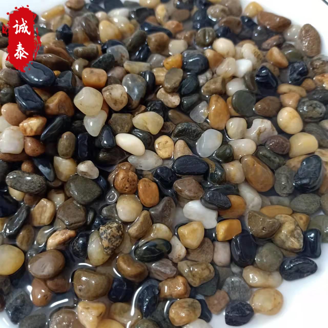 溪流沙豆石石鱼缸底砂造景底沙雨林沙水培石头大叽沙原生石生态石