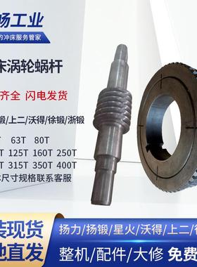 冲床蜗杆涡轮扬力扬锻沃得徐锻浙锻JH21JM36JF21YKCYCM25-1200T
