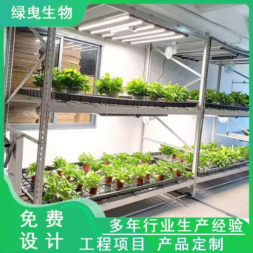 种菜机室内无土栽培水培蔬菜设备 多层移动轨道种植架定制 种植机