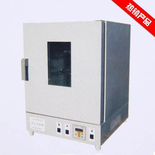 LSX-401A 老化试验箱 厂家 零售