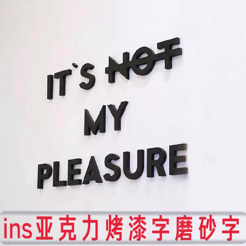 烤漆字磨砂哑光ins个性字亚克力