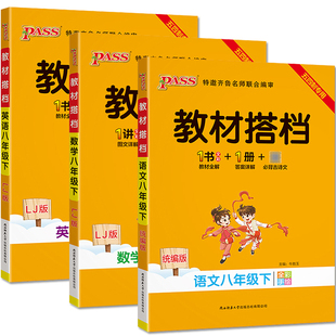 2024春五四制教材搭档八年级下册语文数学英语物理化学五四制鲁教版8年级教材同步辅导54制含教材习题答案教材全解全析与课本同步