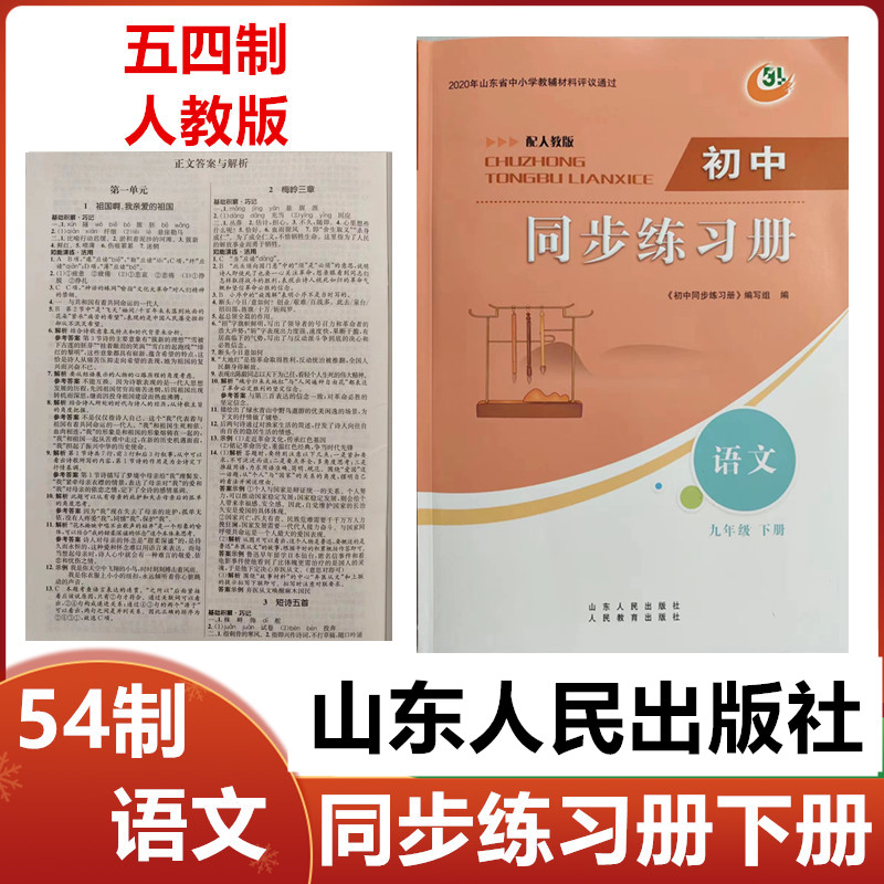 2025春新版五四制人教版初中同步练习册语文九年级下册山东人民出版社54制初四9年级语文下册同步配套练习册